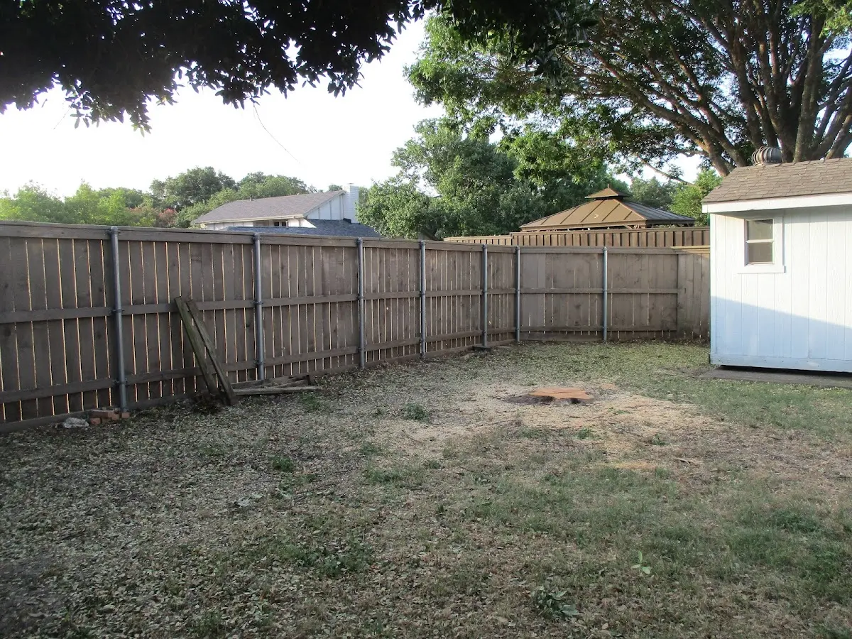 Cleared yard after professional tree removal in Bronx